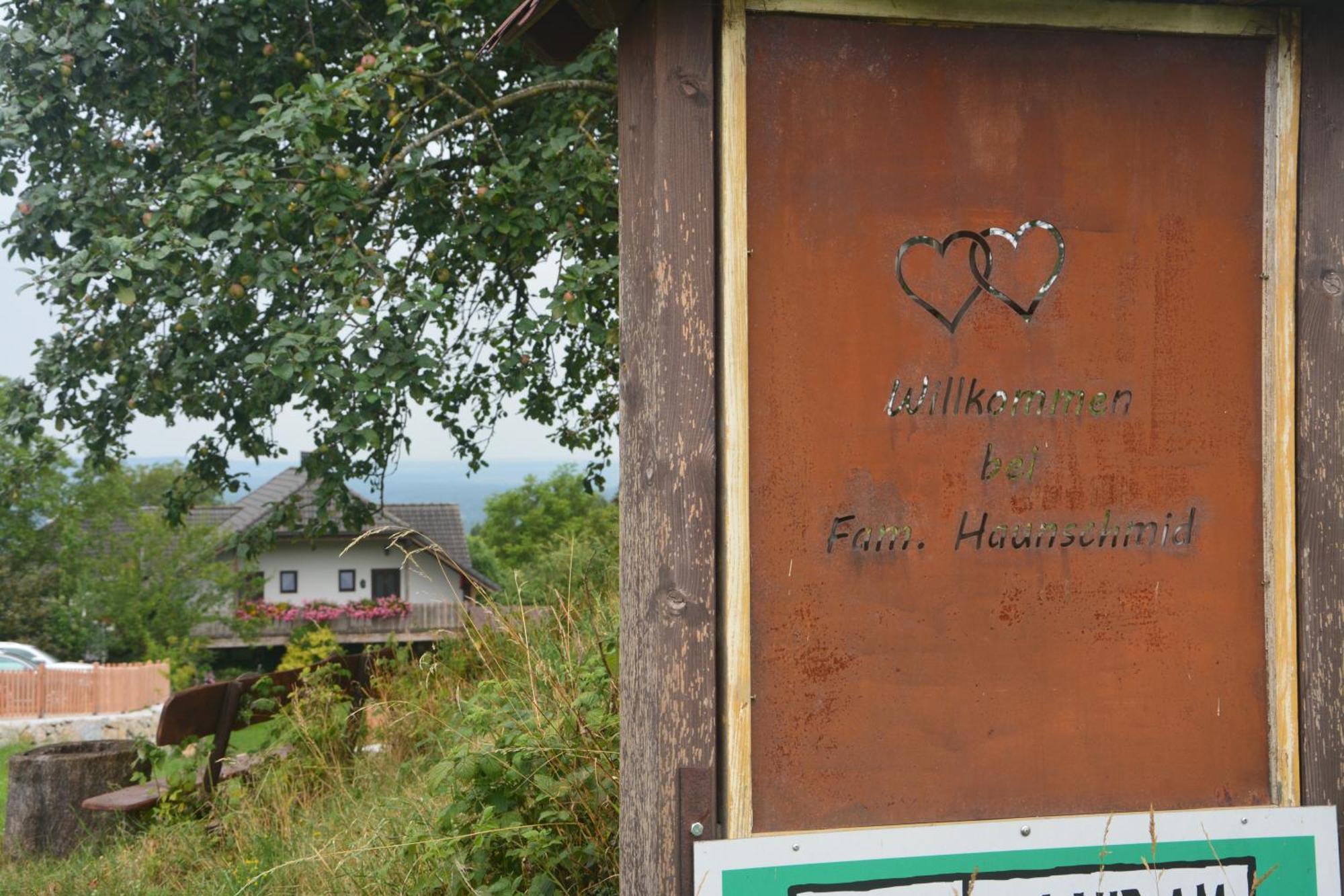 Bio-Bauernhof Haunschmid Villa Ardagger Markt Kültér fotó