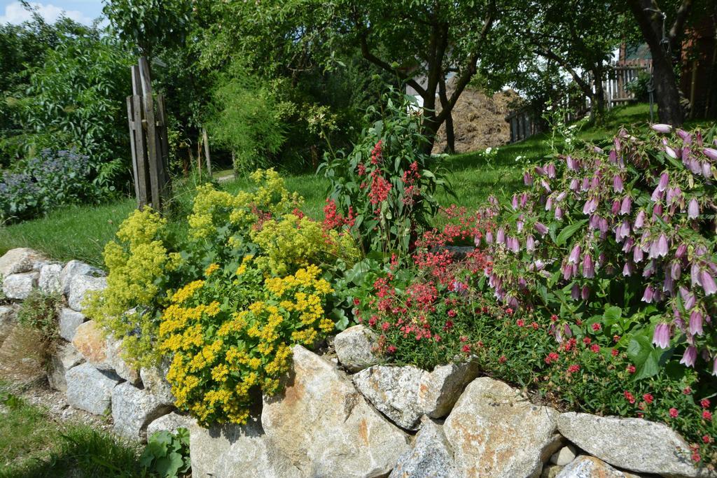 Bio-Bauernhof Haunschmid Villa Ardagger Markt Kültér fotó