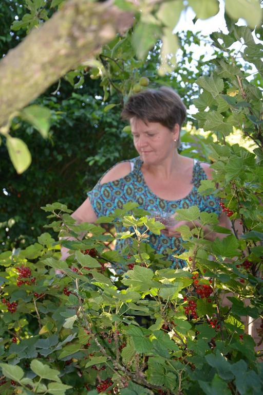 Bio-Bauernhof Haunschmid Villa Ardagger Markt Kültér fotó
