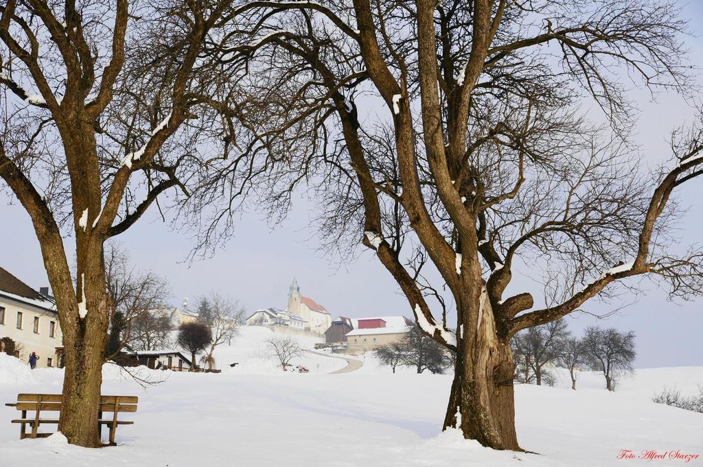 Bio-Bauernhof Haunschmid Villa Ardagger Markt Kültér fotó