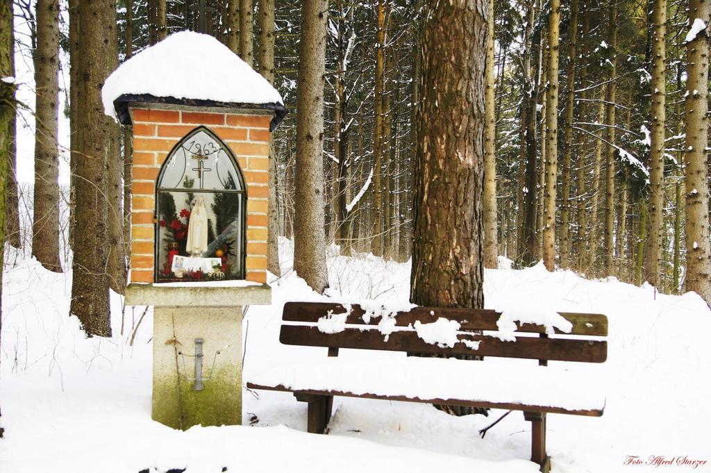 Bio-Bauernhof Haunschmid Villa Ardagger Markt Kültér fotó