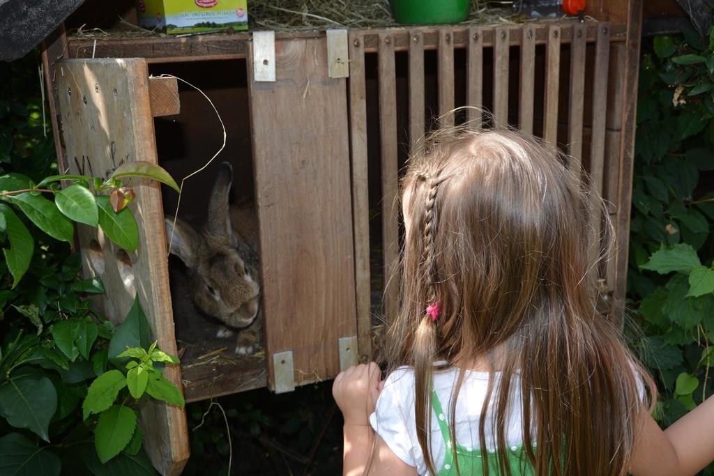 Bio-Bauernhof Haunschmid Villa Ardagger Markt Kültér fotó