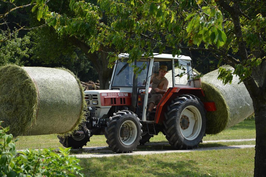 Bio-Bauernhof Haunschmid Villa Ardagger Markt Kültér fotó