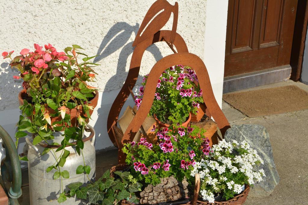 Bio-Bauernhof Haunschmid Villa Ardagger Markt Kültér fotó