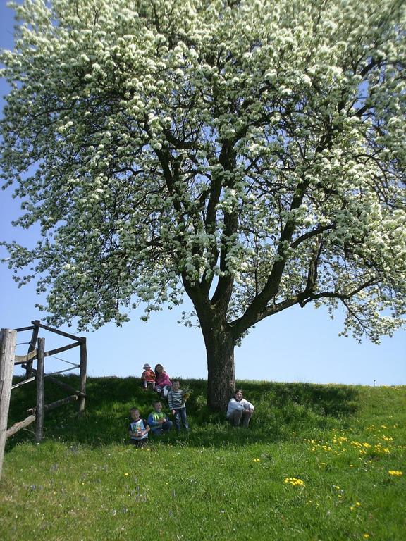Bio-Bauernhof Haunschmid Villa Ardagger Markt Kültér fotó