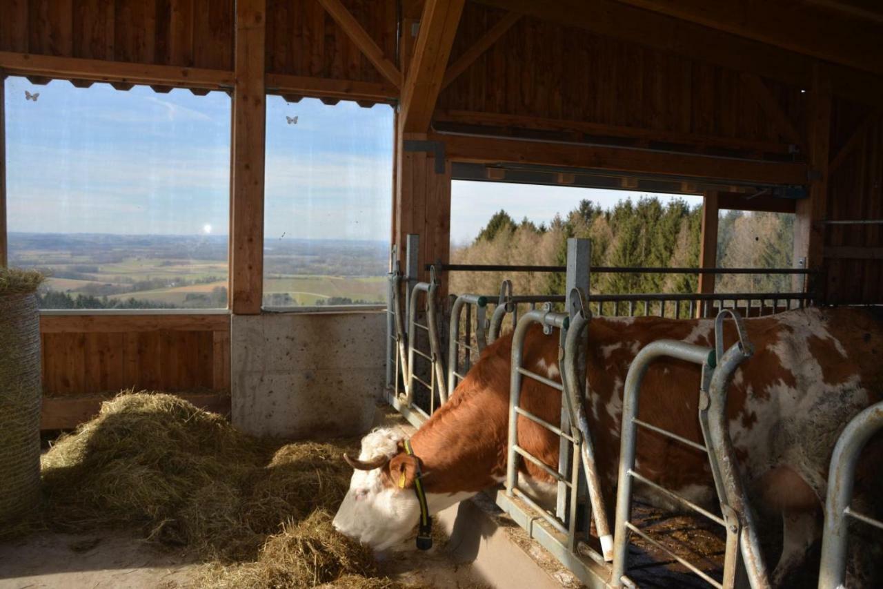 Bio-Bauernhof Haunschmid Villa Ardagger Markt Kültér fotó